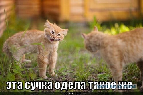 Про одинаковую одежду