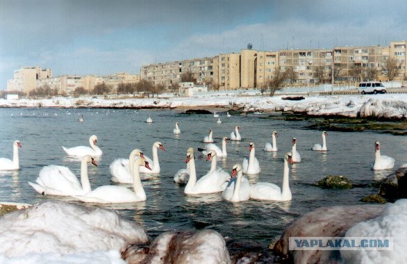 Путешествие в Восточный Аккар