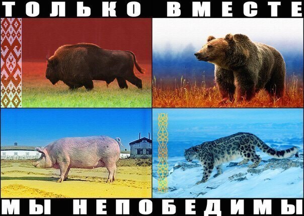 С 2015 года Украина будет без молока и мяса?!
