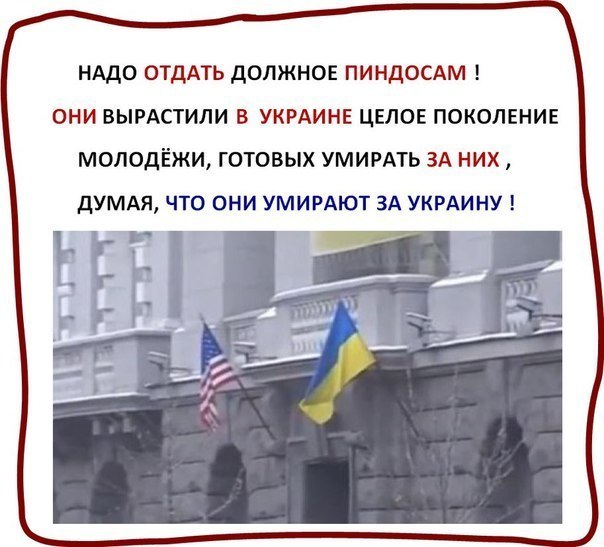 Уклонисты. Автомат держать, не «Молотова»
