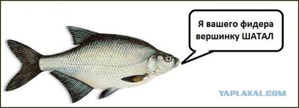 Рыбалка в Нижнем Новгороде