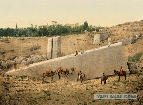 В Египте открыли некрополь Серапеум