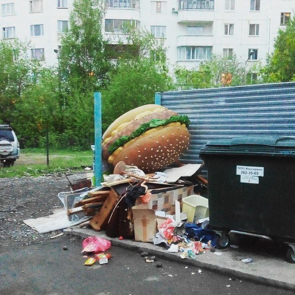 Веселые картинки