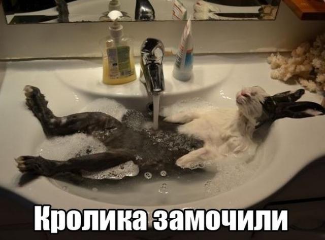 Веселости на пятницу