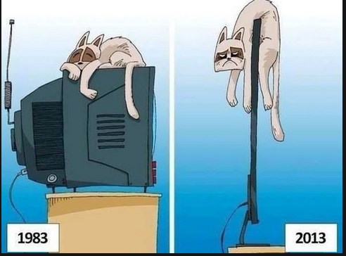 36 тысяч коту под хвост....