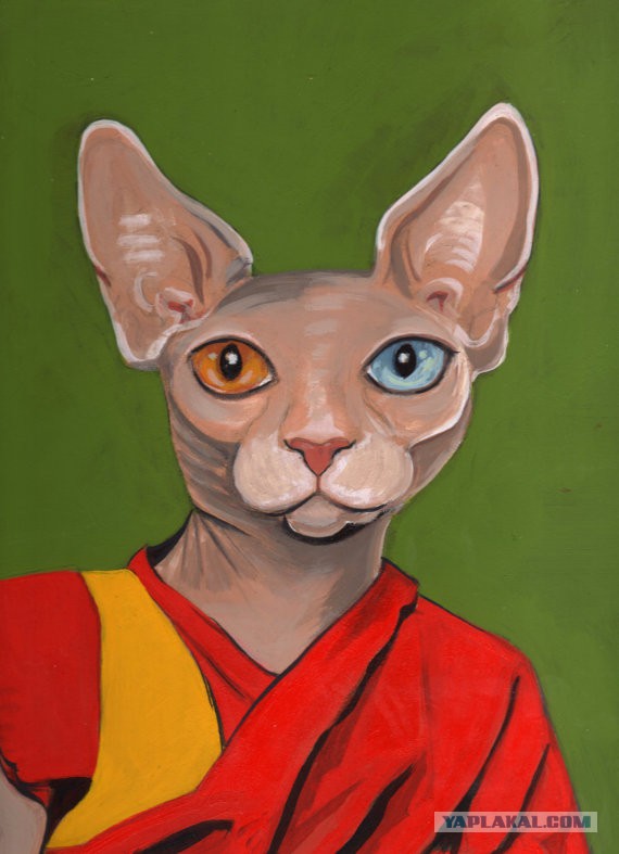 Забавные рисованные кошки