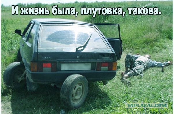 15 картинок с тЫрнета