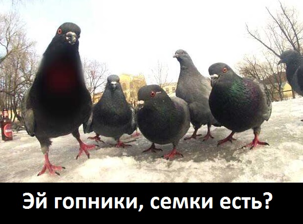 Поворот не туда.Новый фильм.