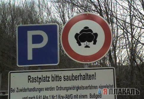 ТУАЛЕТНЫЙ РАЗДЕЛ 1