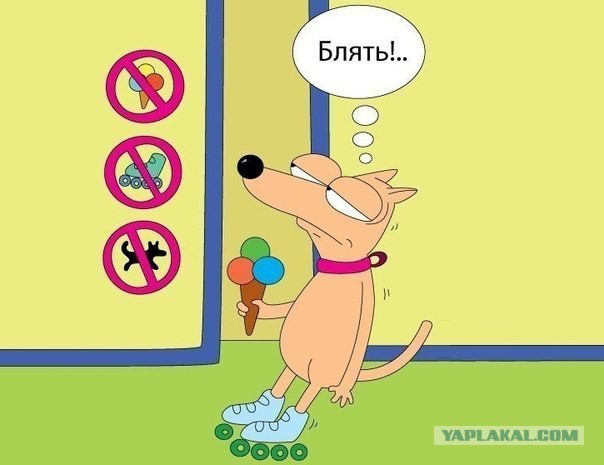 Маразмики