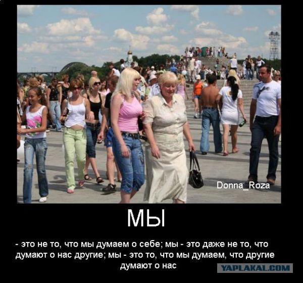 Демы без Темы