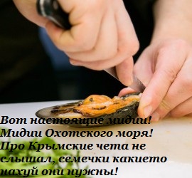 В Крыму решили закормить россиян моллюсками