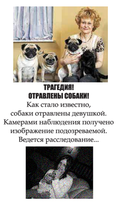 Фотожаба: Желтая пресса