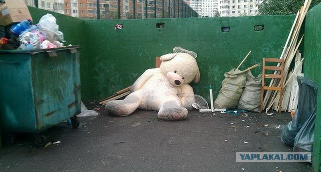 Картинки и приколы из сети