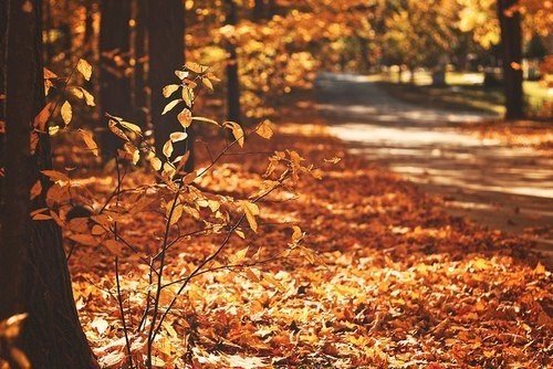 Картинки для отдыха глаз