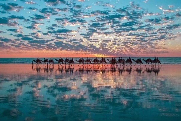 Моменты, запечатлённые на фото и просто позитив 5