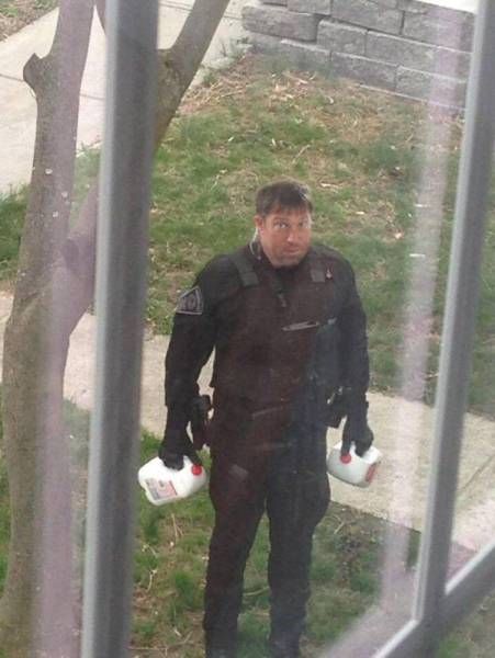 Подборка безудержного веселья