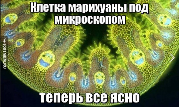 Легкая наркомания одолела внезапно