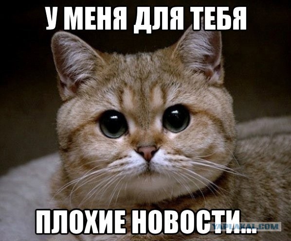 Как девочка бесплатный iPhone ждала