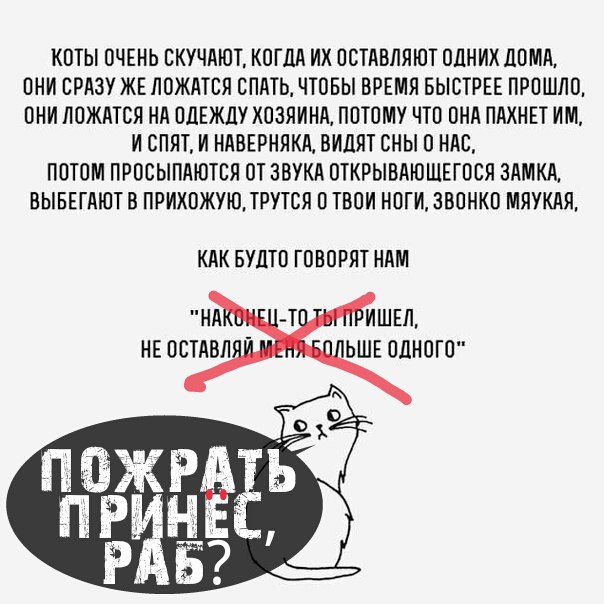 Полчаса мизантропии и интроверсии