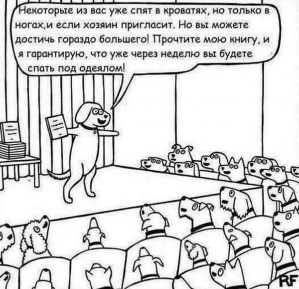 Приколы в стиле "регресс"