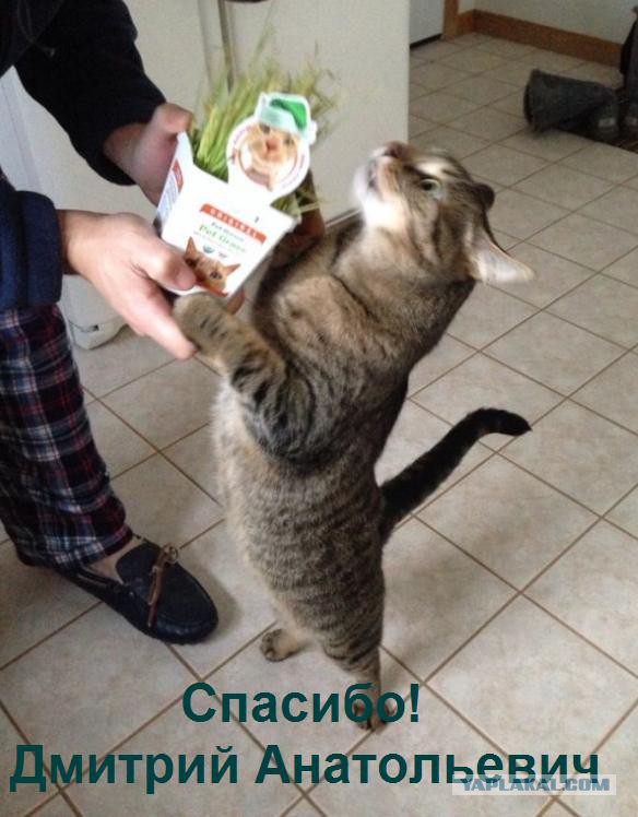 19 фото, на которых каждый получил на Рождество то, о чем даже не мечтал