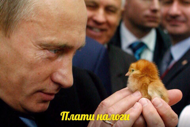 Счетная палата нашла способы увеличить сборы с имущества россиян