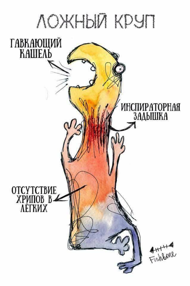 Медицинской дегенерации давненько не было, не так ли?