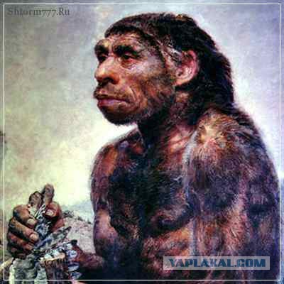 «Маленький член — это приговор»