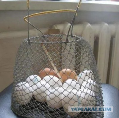 Неизвестные факты про МГУ