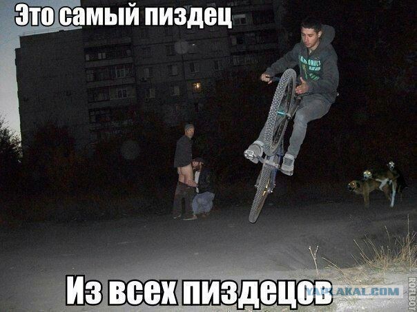 Забавные кадры, сделанные в нужный момент