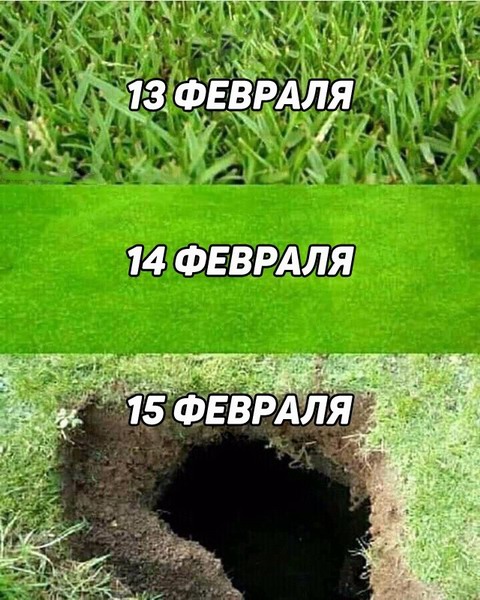 Колючие Муди