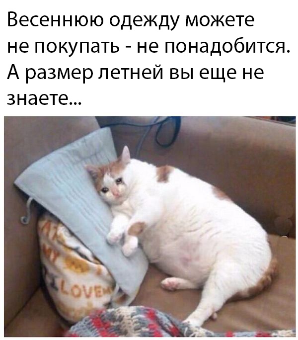 Веселые картинки 05.04.20