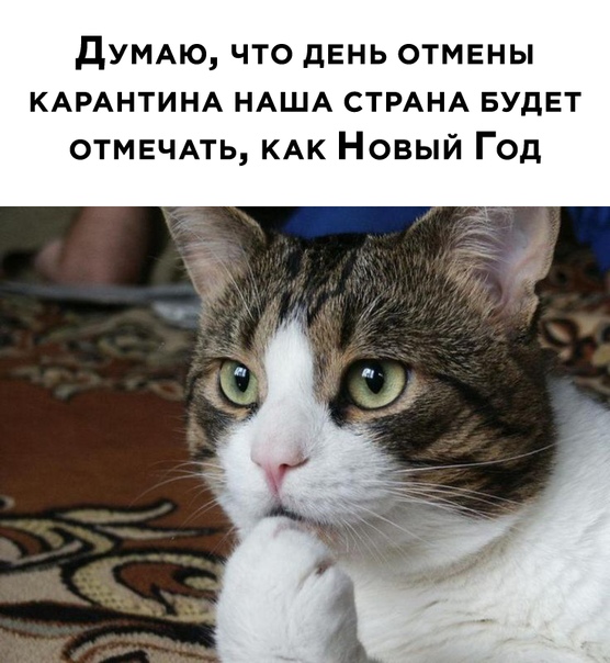 Немного картинок для настроения 24.04.20