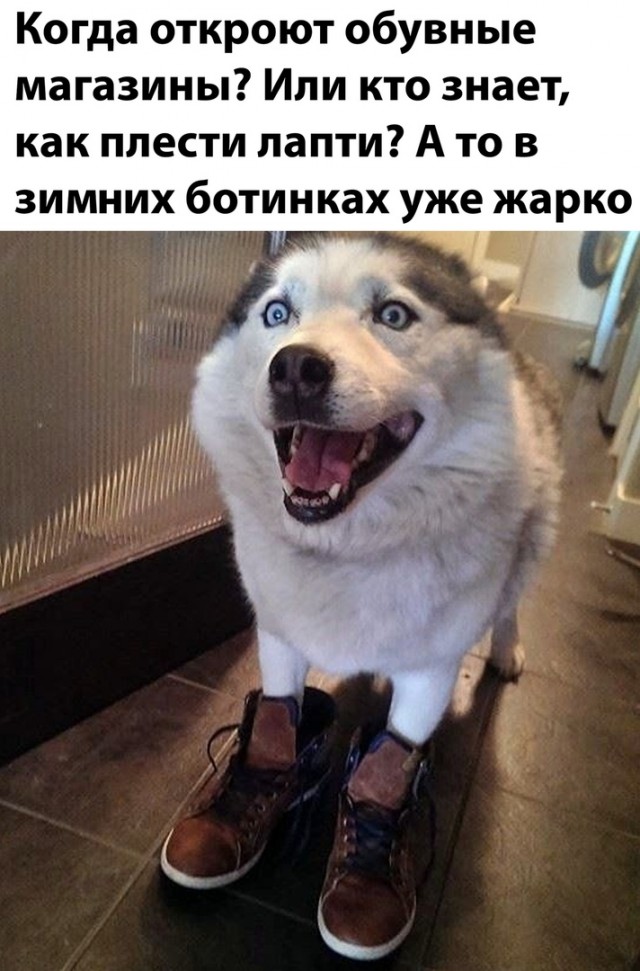 Так себе картинки 07.05.20