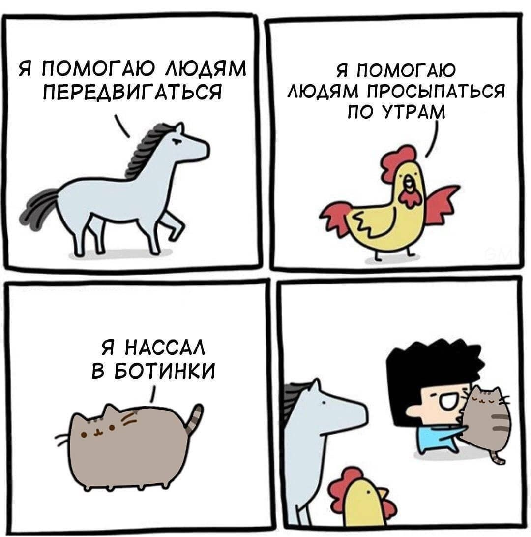 15046459.jpg