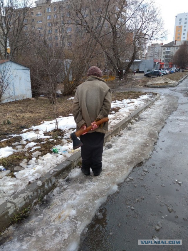 Сбывшееся предсказание