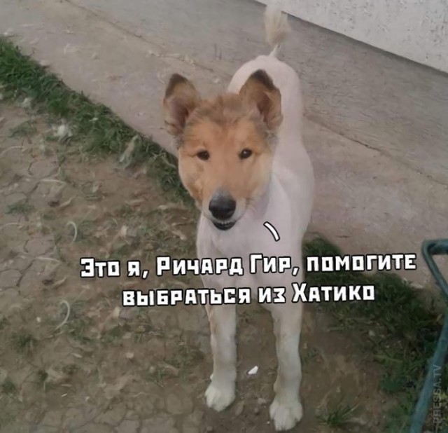 Картинки и мемы для настроения