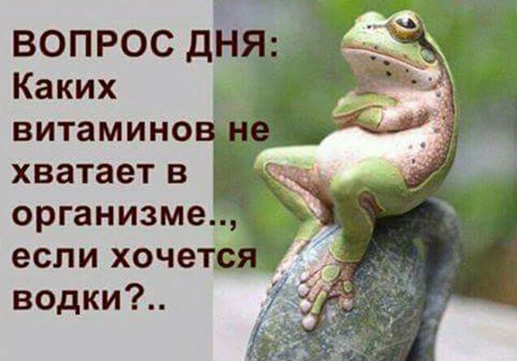 Картинки и мемы для настроения 02.08.2021