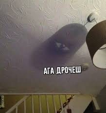 Подборка кореяночек