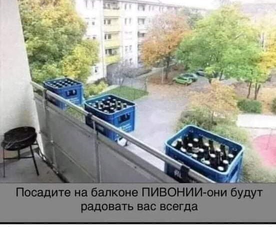Драка