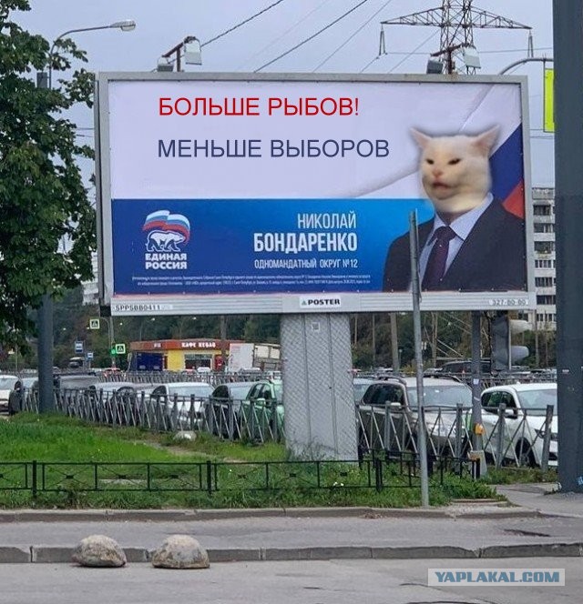 Поиграл цветами