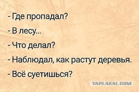 Бредзона 31.12.2021