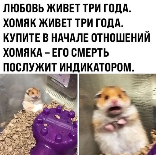 Так себе картинки 06.02.22