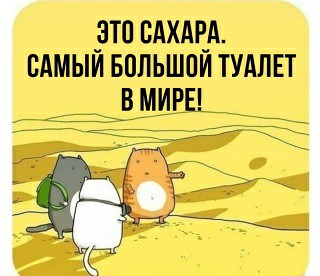 Картинки и мемы для настроения - 21