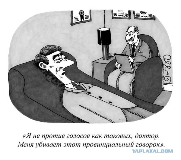 Весёлый полтишок 08.09.22