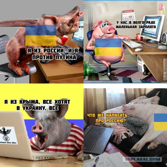 О призывниках и патрулях "Ловчих".