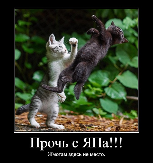 Что-то перехотел я тыквенных семечек
