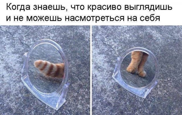 Немного картинок для настроения - 151