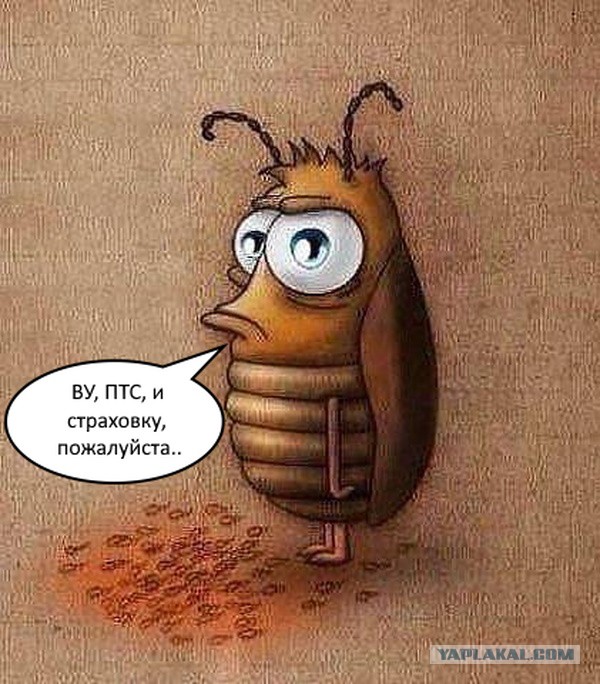 Забавные комментарии из социальных сетей (08.05.23)